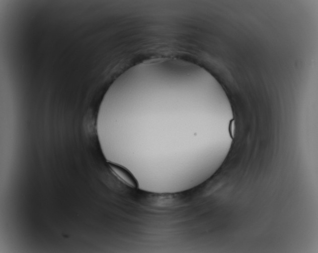 X0000092050384200710031047