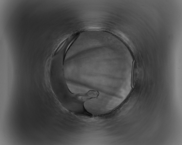 X0000092050385200710031046