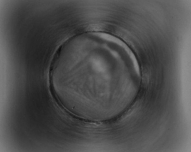 X0000092050386200710031046