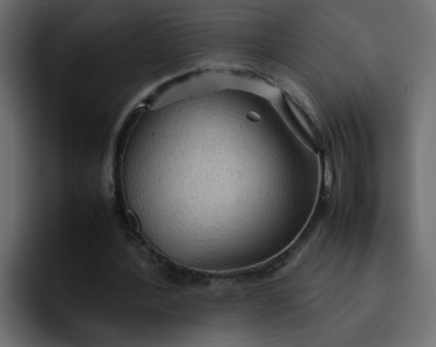 X0000092050388200710031046