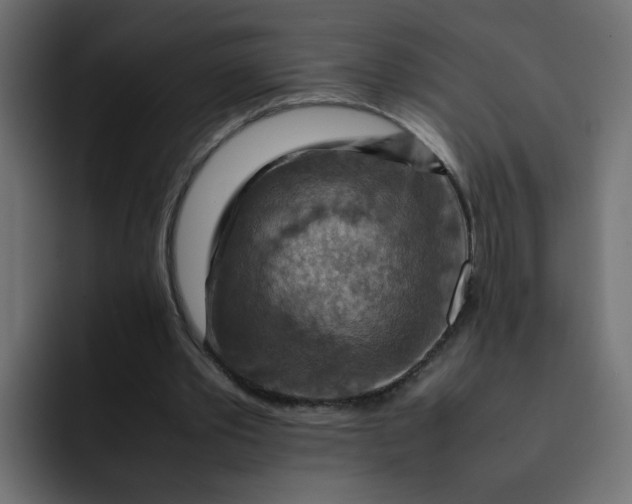 X0000092050389200710031046