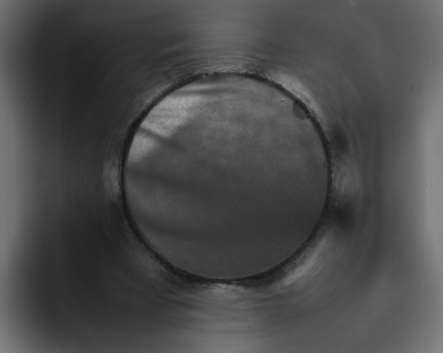 X0000092050393200710031046