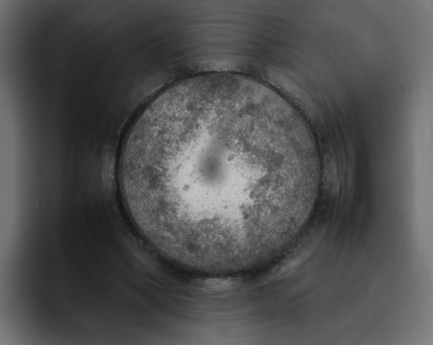 X0000092050394200710031046