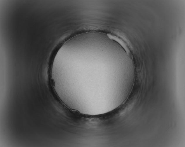 X0000092050395200710031046