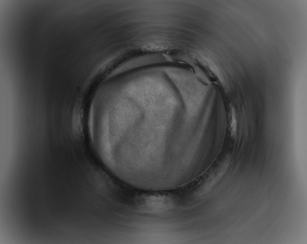 X0000092050400200710031046