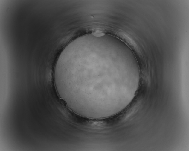 X0000092050401200710031046