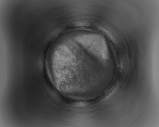 X0000092050402200710031046