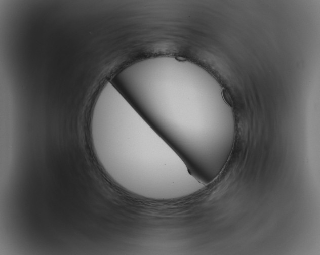 X0000092050403200710031046