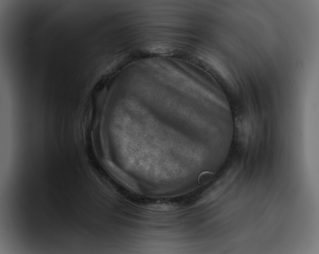 X0000092050404200710031046