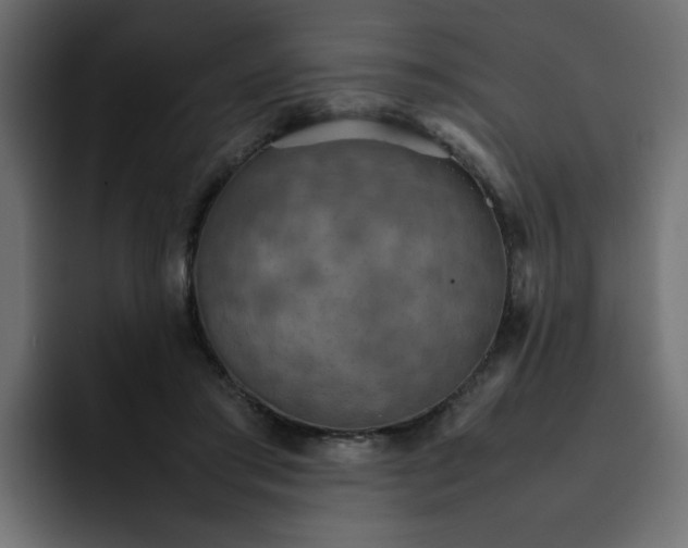 X0000092050405200710031046