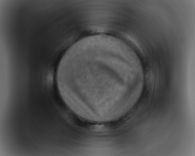 X0000092050406200710031046