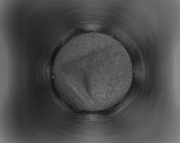 X0000092050408200710031046