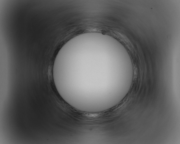 X0000092050409200710031046