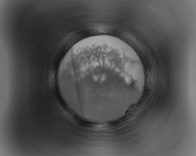 X0000092050410200710031046