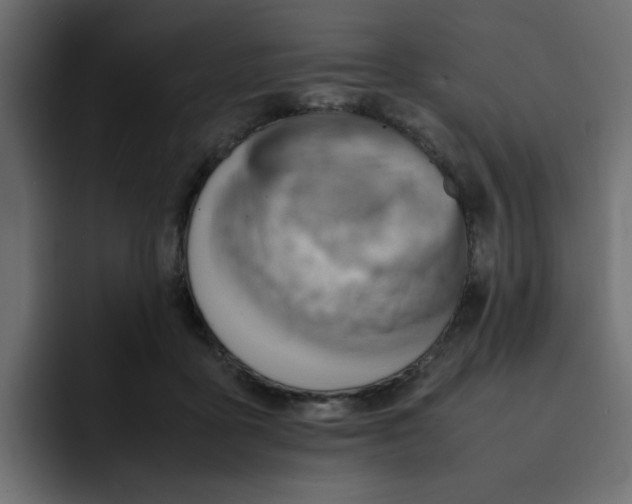 X0000092050411200710031046