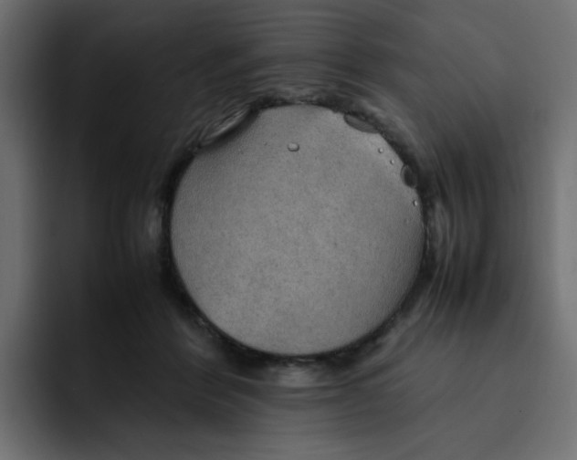 X0000092050412200710031046