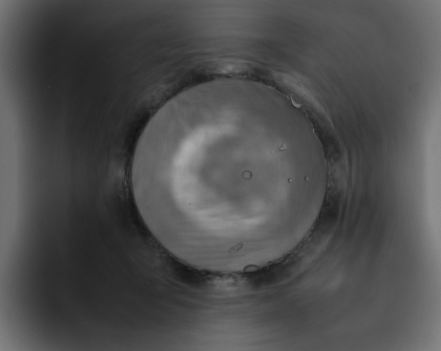 X0000092050415200710031046