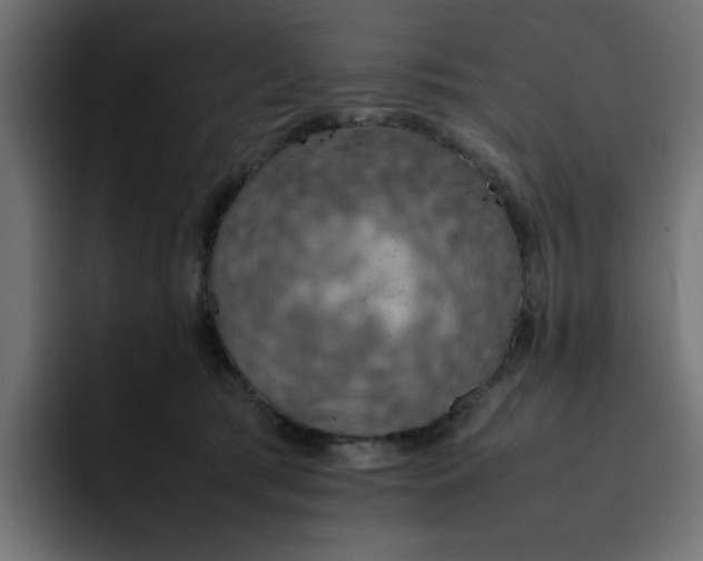 X0000092050417200710031046