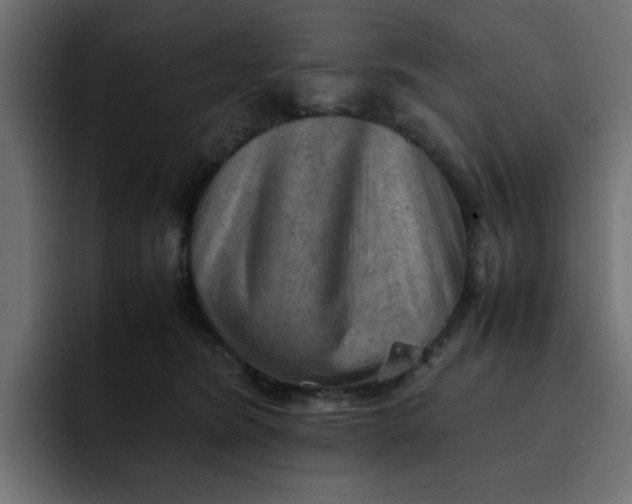 X0000092050420200710031046