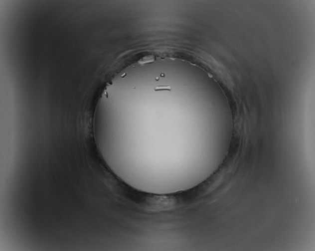 X0000092050421200710031046