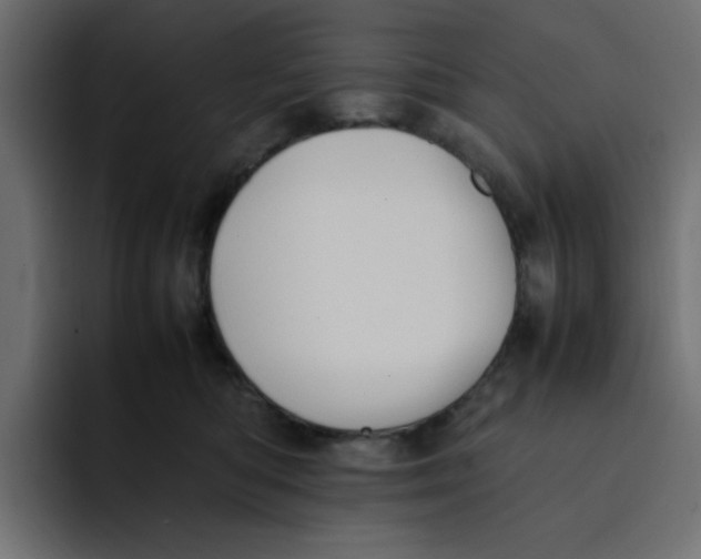 X0000092050422200710031046