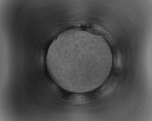 X0000092050424200710031046