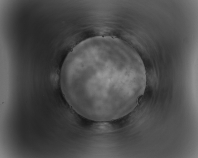 X0000092050427200710031046