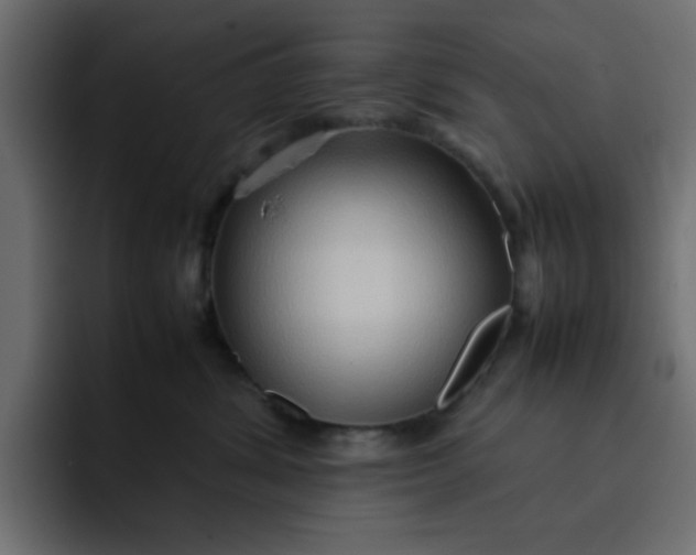 X0000092050428200710031046