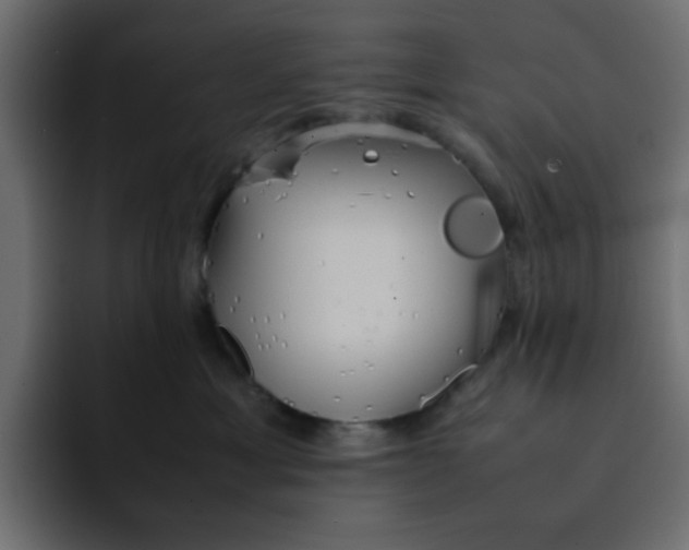 X0000092050429200710031046