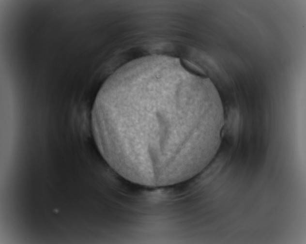 X0000092050430200710031046