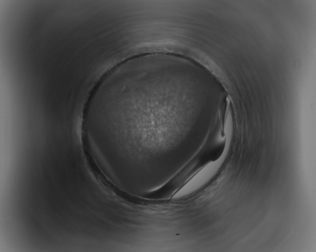 X0000092050434200710031045