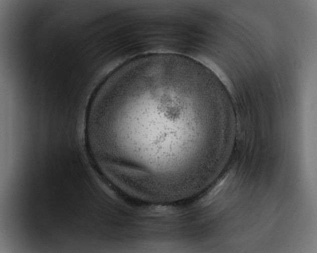 X0000092050437200710031045