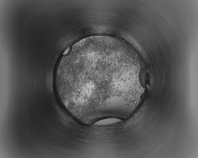 X0000092050442200710031045