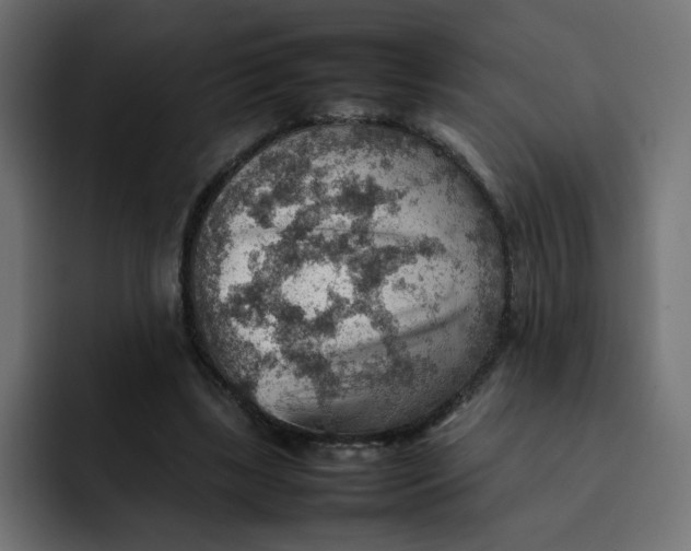 X0000092050443200710031045