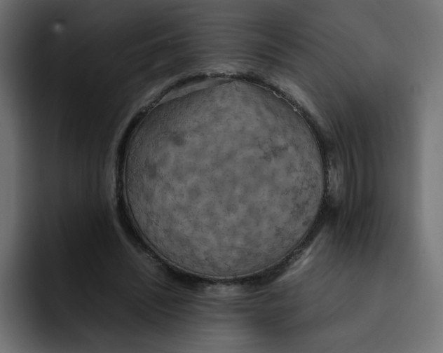 X0000092050444200710031045