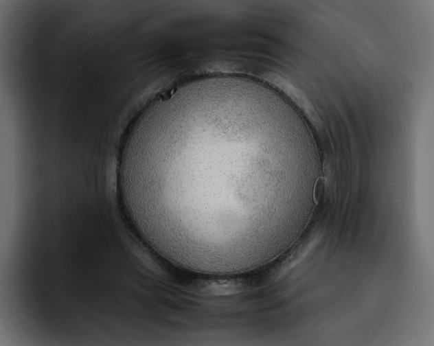 X0000092050445200710031045