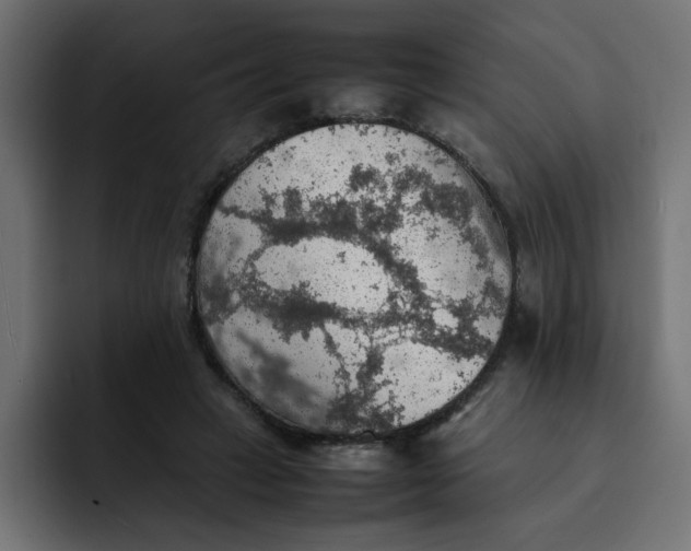 X0000092050449200710031045