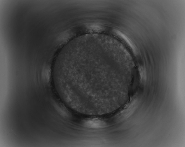 X0000092050451200710031045