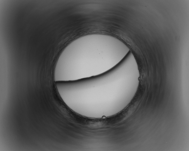 X0000092050454200710031045