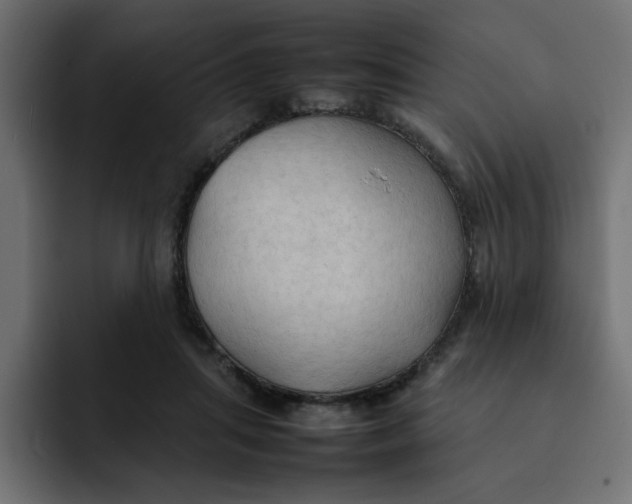 X0000092050455200710031045