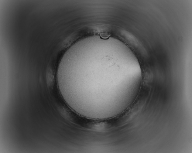 X0000092050456200710031045