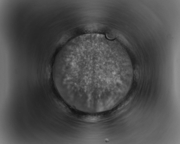 X0000092050458200710031045