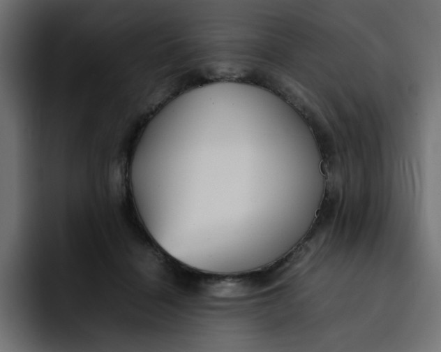 X0000092050460200710031045