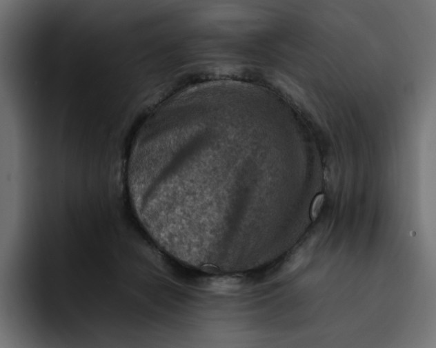 X0000092050462200710031045