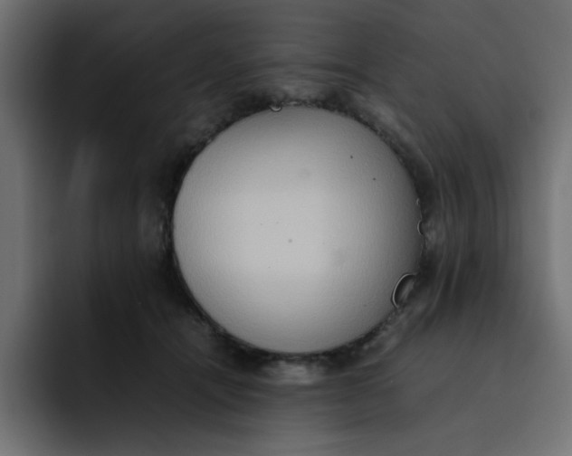 X0000092050464200710031045