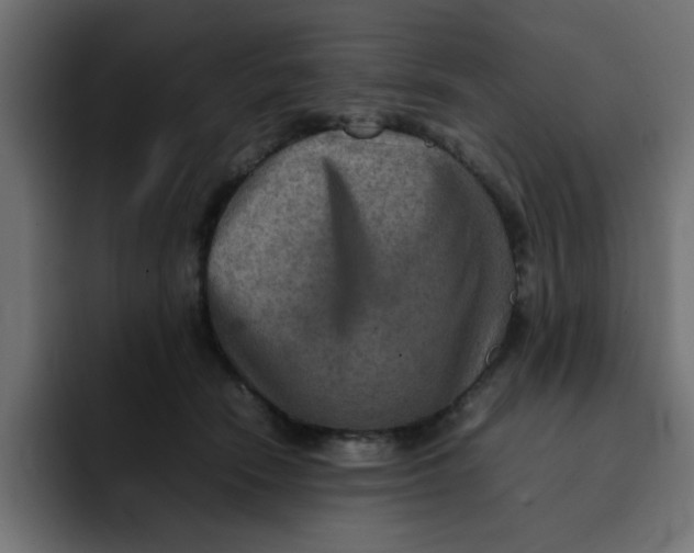 X0000092050466200710031045