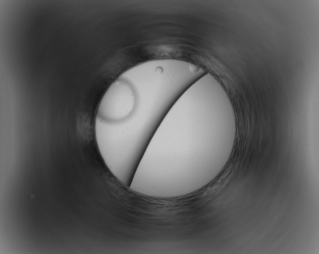 X0000092050469200710031046