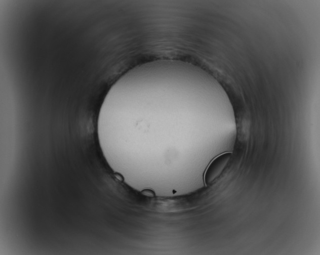 X0000092050472200710031046