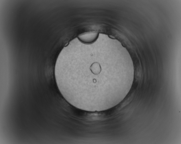 X0000092050473200710031046