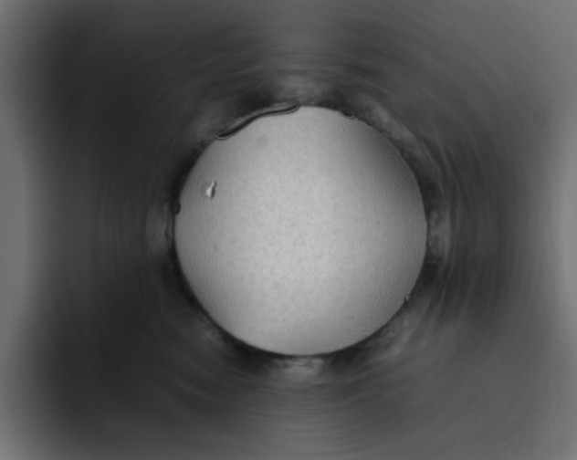 X0000092050474200710031046